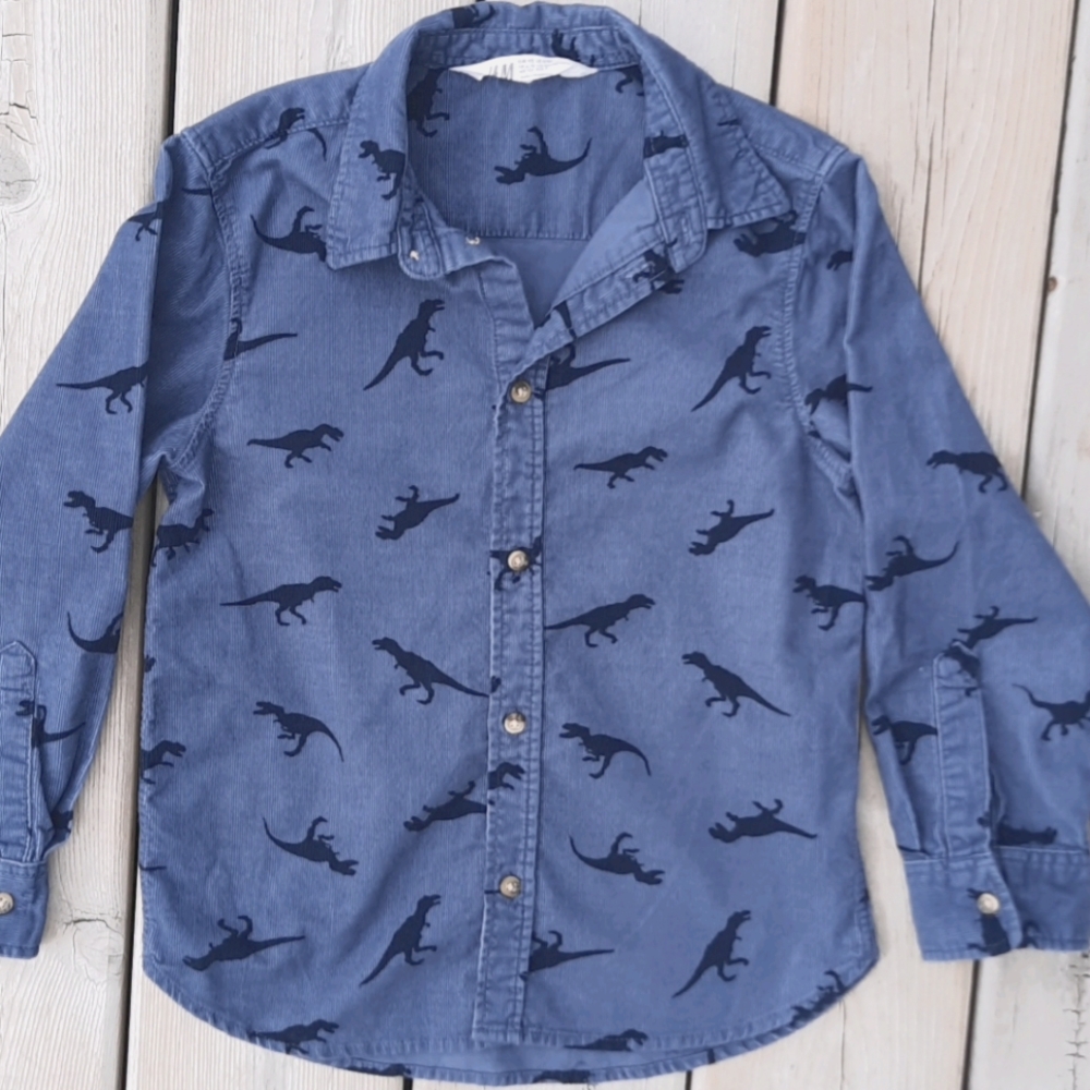 Little boys H & M button up shirt
